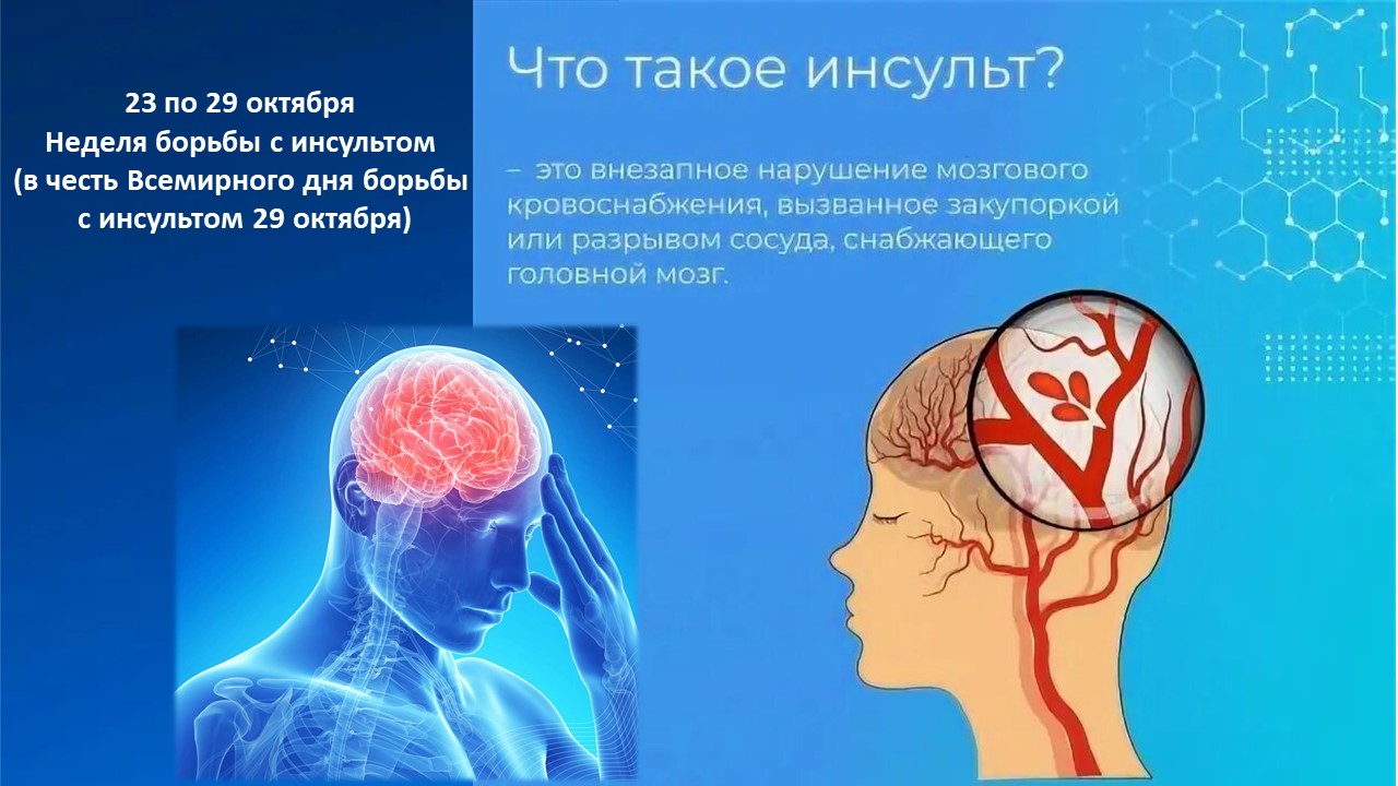 nbsi29.jpg